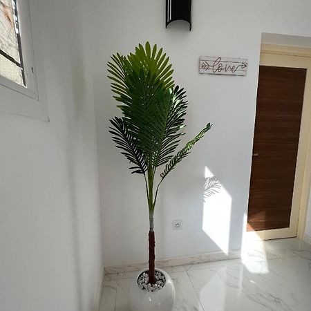 Magnifique Villa Avec Piscine Sur L'Ile De Djerba Houmt Souk  Exteriör bild